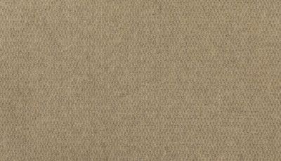 Portico Wool Zion Canyon Suede PEC61-0520
