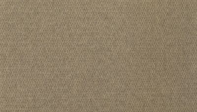 Portico Wool Zion Canyon Birch PEC61-0540