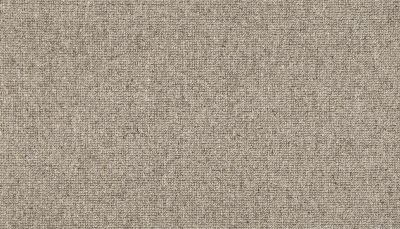 Portico Wool Mount Peale Boardwalk PEC62-0960