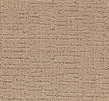 Portico Smartstrand Silk Intricate Style Native Soil PEC65-9826