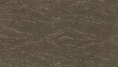 Portico Smartstrand Silk Fiercely Chic Dwelling Place PEC74-9830
