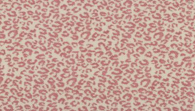 Portico Kashmere Xtra Pounce Puma PEC75-9343