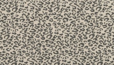 Portico Kashmere Xtra Pounce Chantilly PEC75-9535