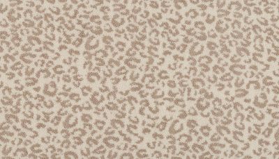 Portico Kashmere Xtra Pounce Glacial PEC75-9822