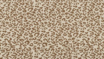 Portico Kashmere Xtra Pounce Sinai PEC75-9831