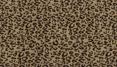 Portico Kashmere Xtra Pounce Persian PEC75-9878