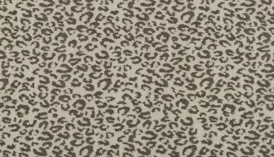 Portico Kashmere Xtra Pounce Ash PEC75-9973