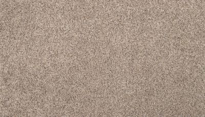 Portico Kashmere Nostalgia Nook Driftwood Mist PEC77-9721