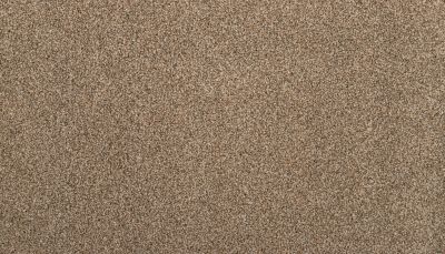 Portico Kashmere Nostalgia Nook Sandstone Beige PEC77-9822