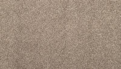 Portico Kashmere Nostalgia Nook Linen Haze PEC77-9930