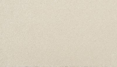 Portico Estate Triexta Enchanting Charisma White Rose PEC93-9701
