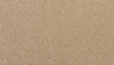 Portico Estate Triexta Enchanting Charisma Ranunculus PEC93-9820