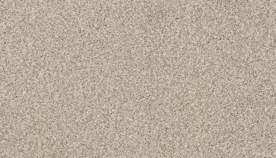 Portico Estate Nylon Warm Haven Bare Necessities PEC95-9748