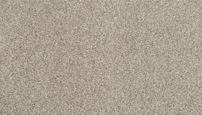 Portico Estate Nylon Warm Haven Sugar Dust PEC95-9765