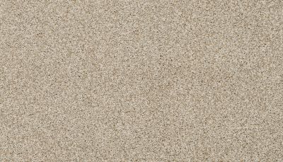 Portico Estate Nylon Warm Haven Renoir Bisque PEC95-9768