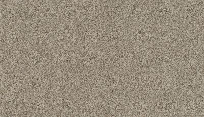 Portico Estate Nylon Warm Haven Cuban Sand PEC95-9788