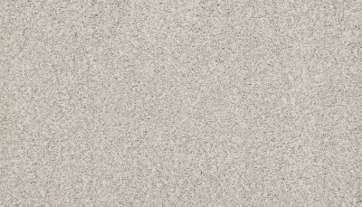 Portico Estate Nylon Warm Haven Silver Fox PEC95-9800
