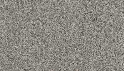Portico Estate Nylon Warm Haven Greystone PEC95-9974