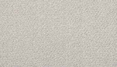 Portico Estate Triexta Blend Seaside Serenity Seaside PEC97-9515