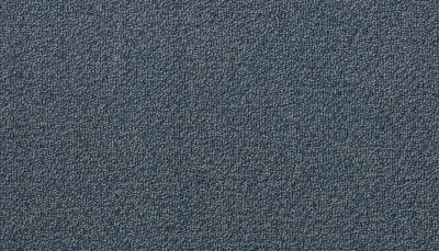 Portico Estate Triexta Blend Seaside Serenity Satelite PEC97-9566