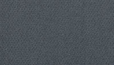 Portico Estate Triexta Blend Seaside Serenity Vero PEC97-9573