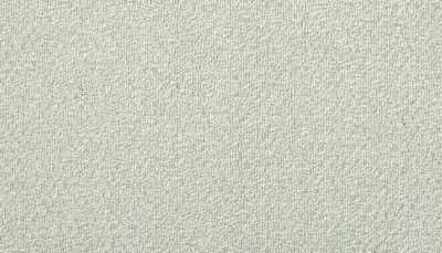 Portico Estate Triexta Blend Seaside Serenity Palm Coast PEC97-9621