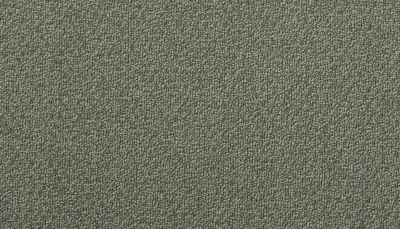 Portico Estate Triexta Blend Seaside Serenity Wabasso PEC97-9624