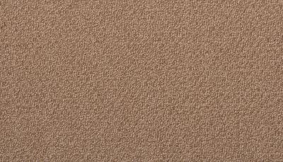Portico Estate Triexta Blend Seaside Serenity Coconut PEC97-9855