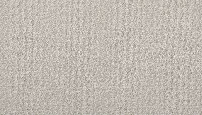 Portico Estate Triexta Blend Seaside Serenity Delmar PEC97-9924