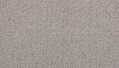 Portico Estate Triexta Blend Seaside Serenity Laguna PEC97-9944