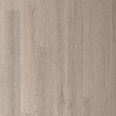 Portico Belleluxe Waterproof Andilair Hammered Silver Oak PL800-5