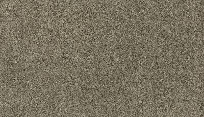 Mohawk Everstrand Polished Tones Taupe Whisper PM540-834