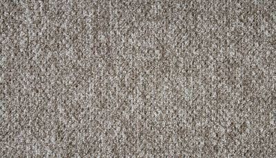Mohawk Everstrand Karliah Driftwood PM597-868