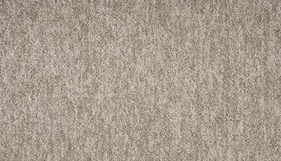 Mohawk Everstrand Falkreath Brown Swirl PM598-858