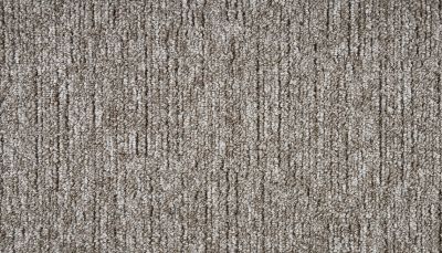 Mohawk Everstrand Legate Driftwood PM599-868
