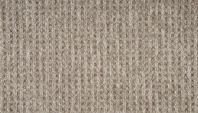 Mohawk Everstrand Ancano Brown Swirl PM602-858