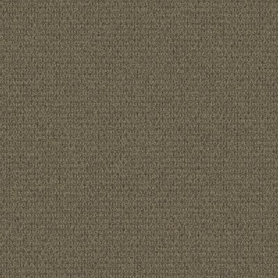 Aladdin Commercial True Form Tactile Taupe 1Z30-828B