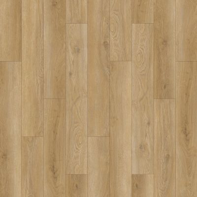 Pergo Extreme Preferred Wood Originals Crowned PT009-014