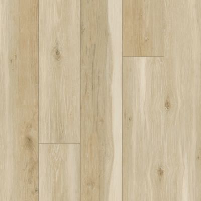 Pergo Extreme Preferred Wood Originals Divine PT009-315