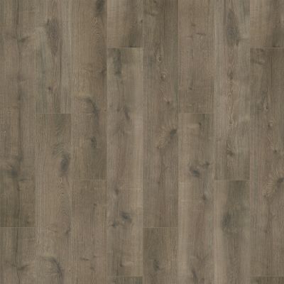 Mohawk Puretech Select Avery Gates Oyster Oak PTA01-239