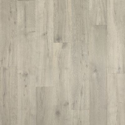 Mohawk Puretech Plus Natural Ridge Graphite Oak PTA04-931