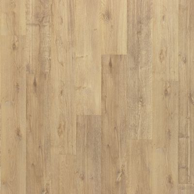 Mohawk Puretech Plus Ellenbank Fallen Leaf Oak PTA05-468