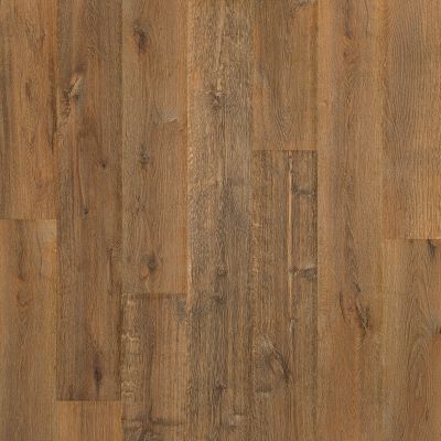 Mohawk Puretech Plus Ellenwood Nature Walk Oak PTL05-258