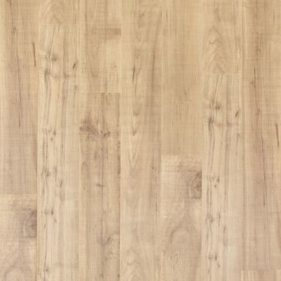 Mohawk Puretech Plus Ellenwood Maple Sapling PTL05-449