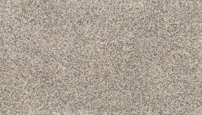 Mohawk Petpremier Paw Pathway Mushroom SP413-958