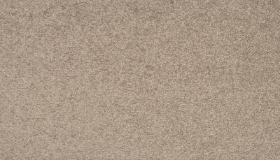 Mohawk Everstrand Colorful Blend I 829 SP904-829