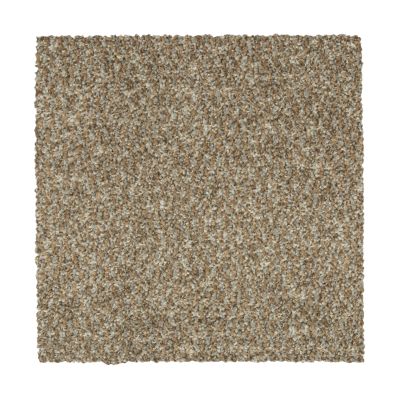 Mohawk Everstrand Colorful Blend I 849 SP904-849