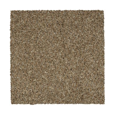 Mohawk Everstrand Colorful Blend II 832 SP905-832