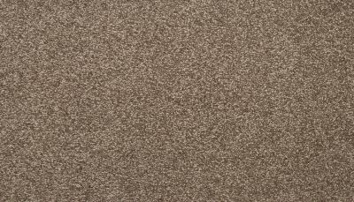 Mohawk Everstrand Colorful Blend II 869 SP905-869