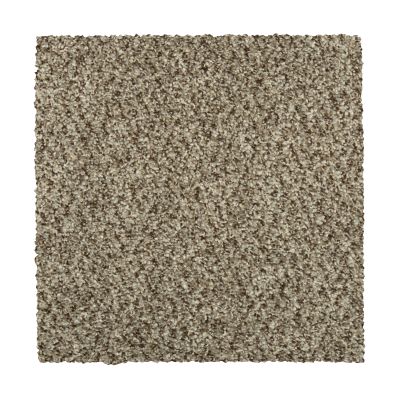 Mohawk Everstrand Colorful Blend III 879 SP906-879